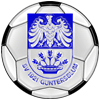 Wappen / Logo des Vereins SV 1921 Guntersblum
