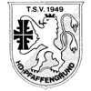 Wappen / Logo des Teams TSV Pfaffengrund