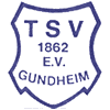 Wappen / Logo des Teams TSV Gundheim/Abenheim II  JSG