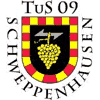 Wappen / Logo des Teams JSG Steyerbachtal/Waldlaubersheim