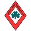Wappen / Logo des Teams FSV 1928 Rehborn 2