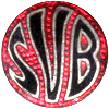 Wappen / Logo des Vereins SV 1907 Bergen