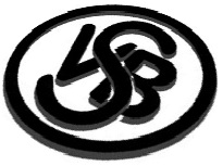 Wappen / Logo des Teams SV 1914 Bingerbrck