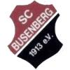 Wappen / Logo des Teams SC 1913 Busenberg