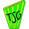 Wappen / Logo des Teams TSG Schwabenheim 2