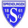 Wappen / Logo des Teams TSG Sprendlingen U21