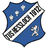 Wappen / Logo des Teams TuS Heloch