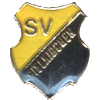 Wappen / Logo des Teams SV 1896 Dielkirchen