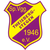 Wappen / Logo des Vereins SpVgg. Theisbergstegen