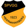 Wappen / Logo des Vereins SpVgg Hermannsb.Welchwlr.