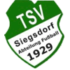 Wappen / Logo des Teams TSV Siegsdorf