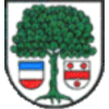 Wappen / Logo des Teams TV 1899 Ellerstadt / JSG Feuerberg