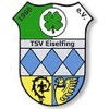 Wappen / Logo des Teams TSV Eiselfing