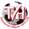 Wappen / Logo des Teams TV Hayna 2