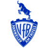 Wappen / Logo des Vereins VfB 1919 Annweiler
