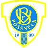 Wappen / Logo des Teams VfB 09 Pneck