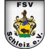 Wappen / Logo des Teams SG FSV Schleiz