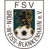 Wappen / Logo des Teams FSV Grn-Wei Blankenhain