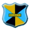 Wappen / Logo des Teams SV Reurieth