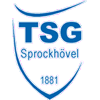 Wappen / Logo des Teams TSG Sprockhvel