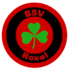 Wappen / Logo des Vereins BSV Roxel
