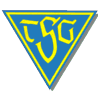 Wappen / Logo des Vereins TSG Dlmen