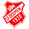 Wappen / Logo des Teams DJK SF Dlmen