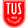 Wappen / Logo des Vereins TuS Hattingen 1863