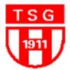 Wappen / Logo des Teams TSG Herdecke