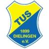 Wappen / Logo des Teams TuS Dielingen 50