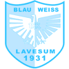 Wappen / Logo des Teams DJK BW Lavesum 2