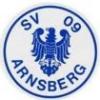 Wappen / Logo des Teams SV Arnsberg 09 2