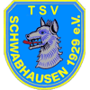 Wappen / Logo des Teams TSV Schwabhausen 3