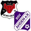Wappen / Logo des Teams TUS Wewelsburg