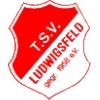 Wappen / Logo des Vereins TSV Ludwigsfeld Mnchen