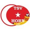 Wappen / Logo des Vereins Trkischer SV Horn