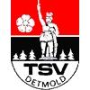 Wappen / Logo des Teams TSV Detmold
