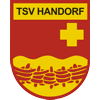 Wappen / Logo des Vereins TSV Handorf