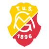 Wappen / Logo des Teams SG Mudersbach-Brachbach