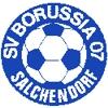 Wappen / Logo des Teams SV Borussia Salchendorf - 11er