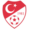 Wappen / Logo des Teams Anadolu Trk Spor Neunkirchen