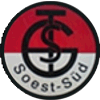 Wappen / Logo des Teams TSG Soest-Süd