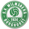 Wappen / Logo des Teams SV Wilmsberg 3