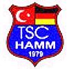Wappen / Logo des Teams Trkischer SC Hamm