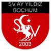 Wappen / Logo des Teams SV Ay Yildiz Bochum