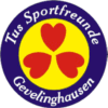 Wappen / Logo des Teams Gevelinghausen TuS