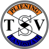 Wappen / Logo des Teams TSV Pliening/L.