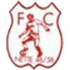 Wappen / Logo des Vereins FC Nette 46/58
