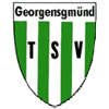 Wappen / Logo des Teams TSV Georgensgmnd 2