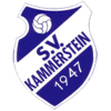Wappen / Logo des Teams SV Kammerstein 2